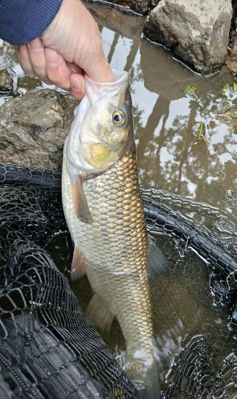 ����� ������ �������: ��� ���� ������ �� ��������� ����