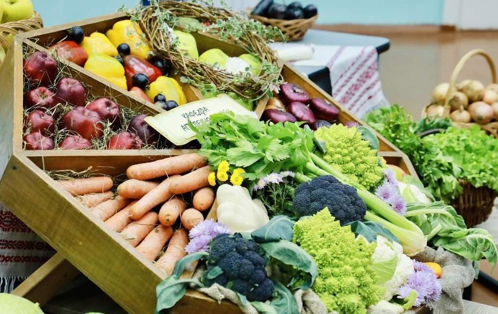 Овощи как ключ к здоровью: ГГАУ запускает яркий проект для молодежи