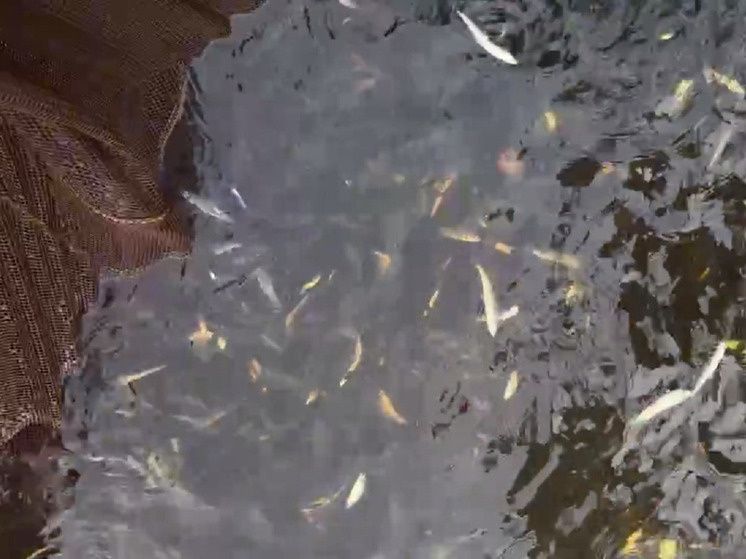 150 ����� ������� ������� ��������� � ������ ���� ����