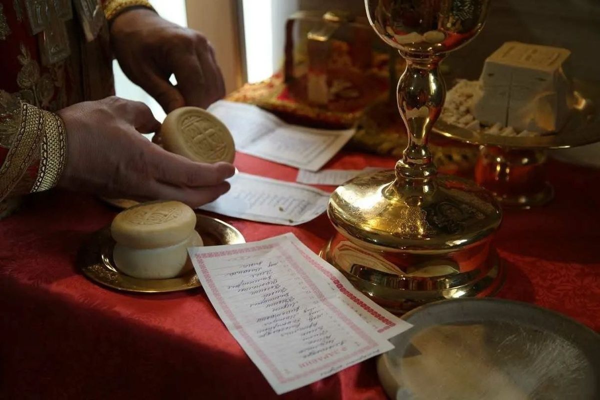 �������������� ���� ����� ��������