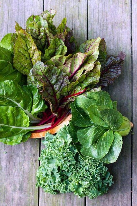 ����� ��������� ������