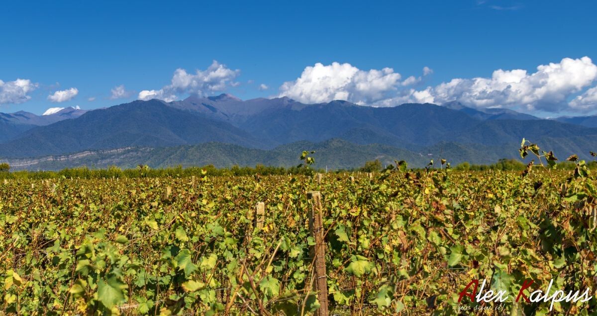 ����������� ����: ��������� �������� ������