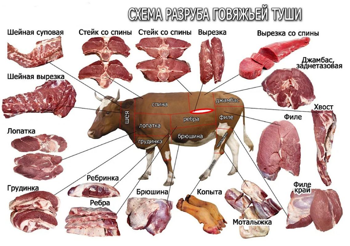 ��� ������� ��������� ����� �������� ��� ������ �����?