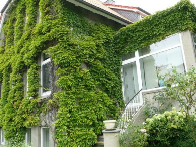 Как легко разрушить свой дом: 10 неожиданных способов