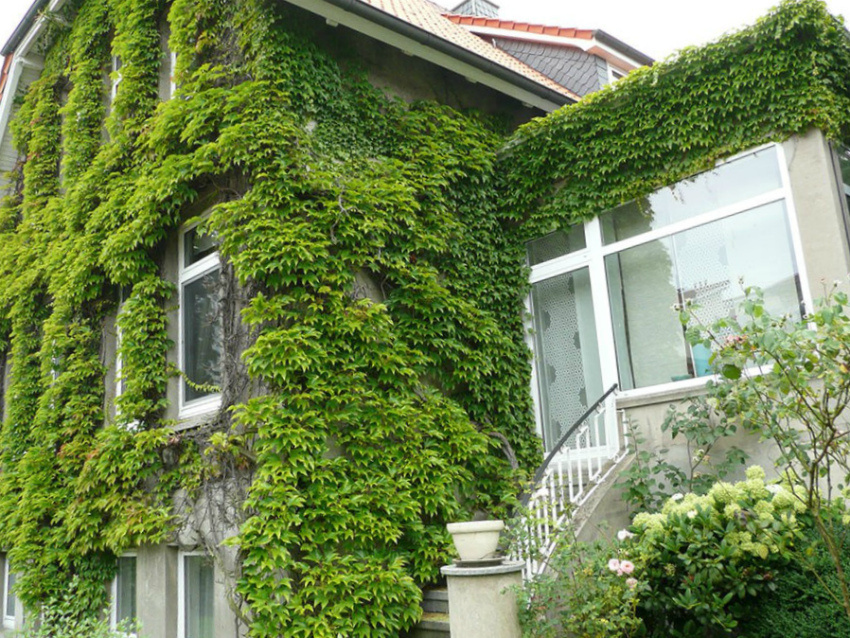 Как легко разрушить свой дом: 10 неожиданных способов