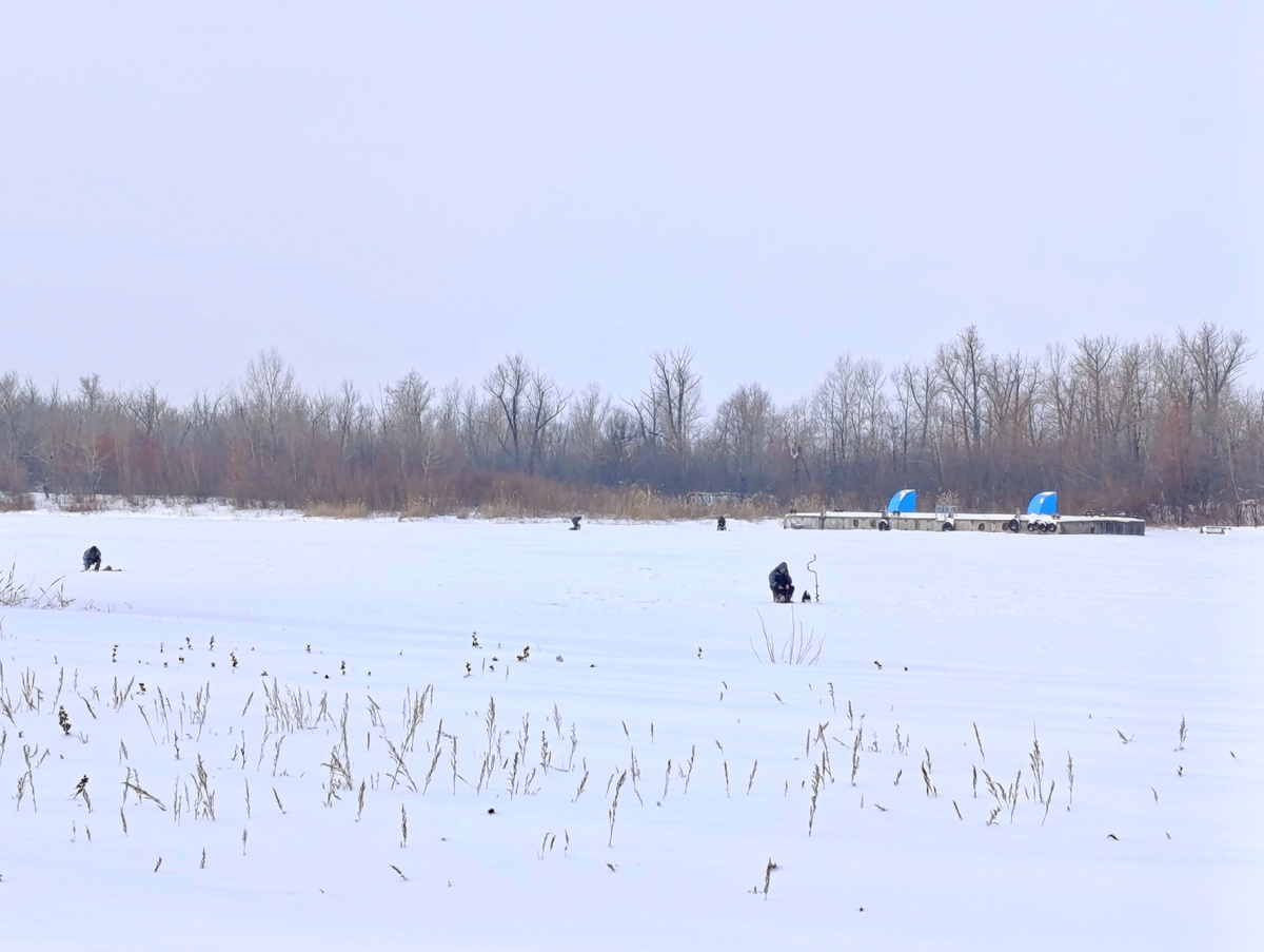 Солнечные зимние рыбалки на Волге: когда окуни становятся лучшим угощением