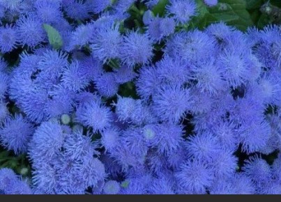 ��� �������� ����� ������ � ������ � �����������: ������������ �������� ������