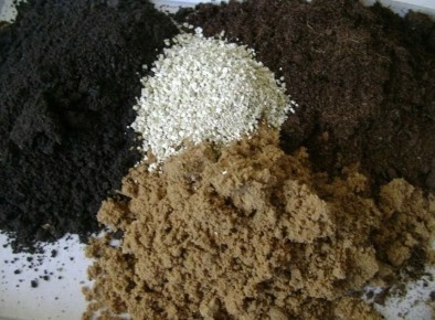 ��� ��������� �������� �������: ������� ���������� ������