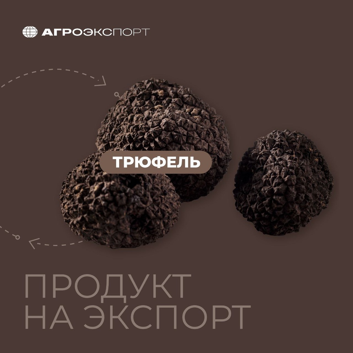 Трюфель из России: новый экспортный продукт с огромным потенциалом