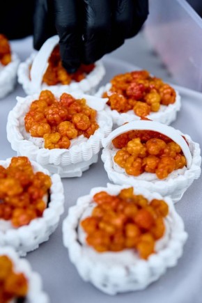 Морошка: удивительная ягода с уникальным вкусом