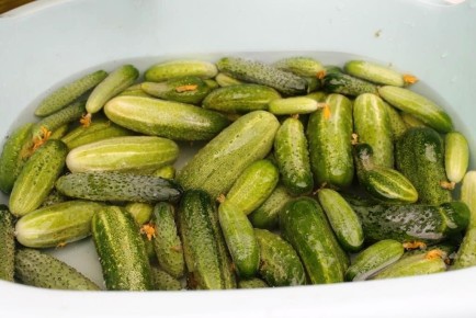 Как добиться хрустящих маринованных огурцов: простые секреты