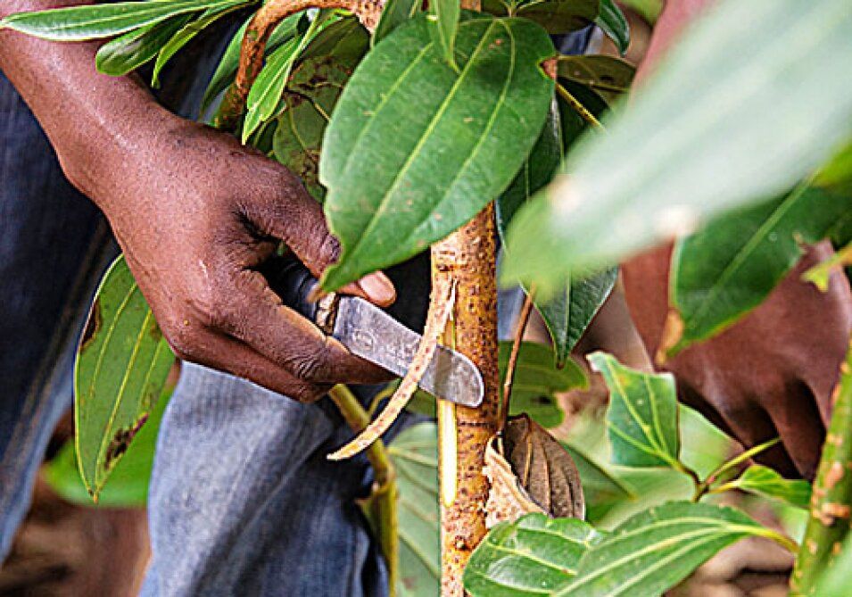 ��� �������� ��������� ������ �� ������: ������� ������