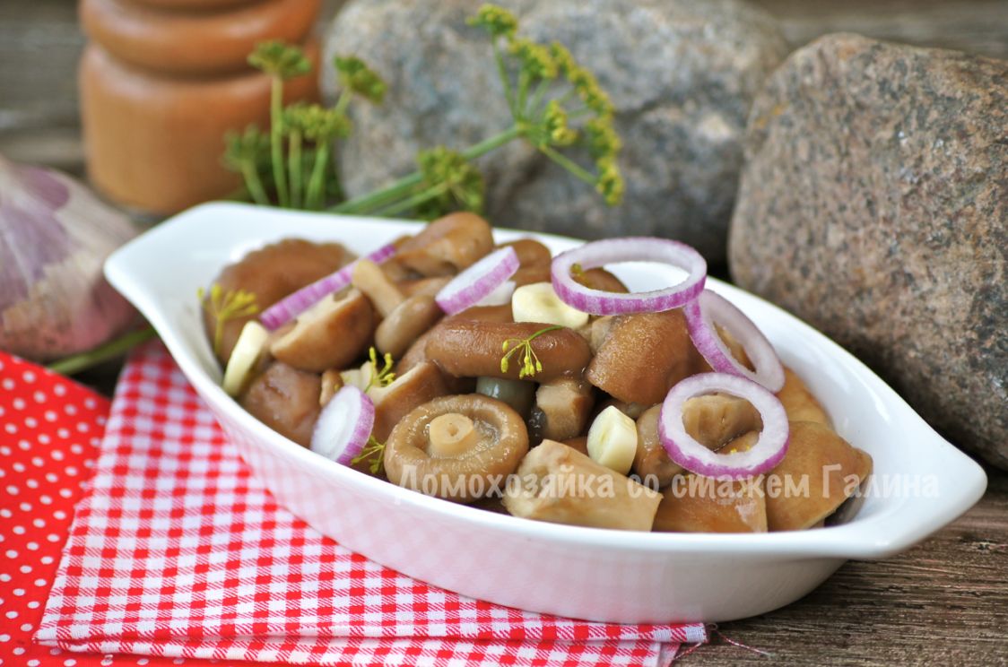 ��� ���������� ��������: ������� ������ ������� ������