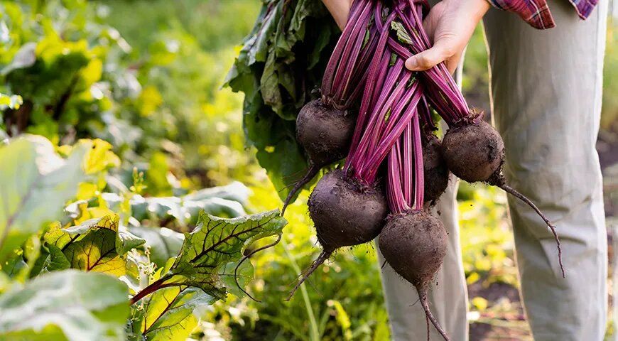 ��������� ������� ��� �������� ������: ������ � �������