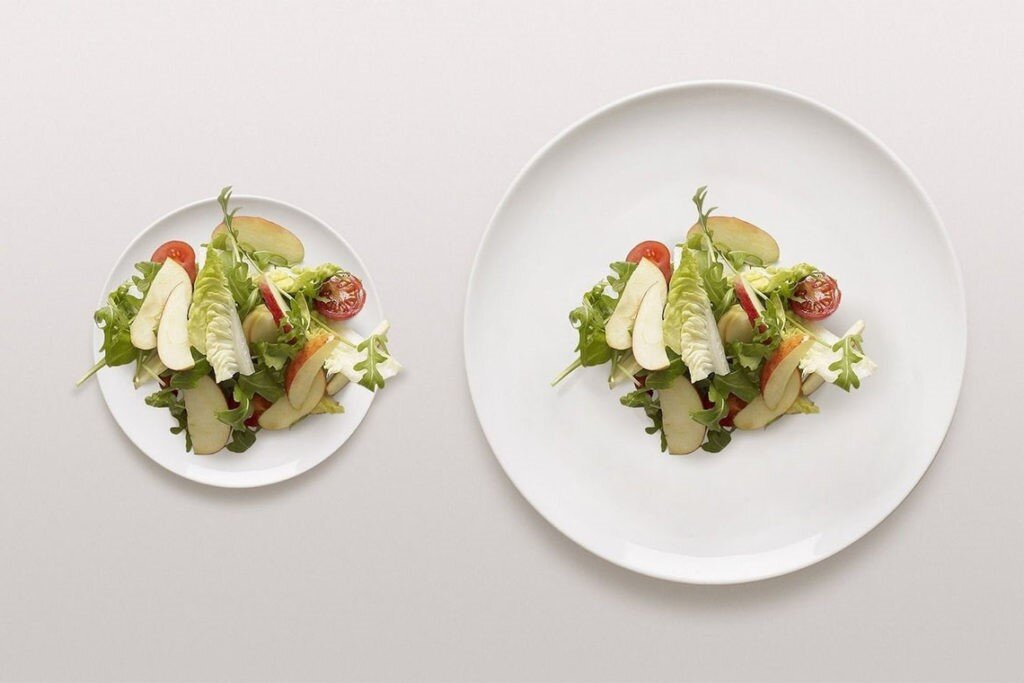 Как размер тарелки влияет на ваш счет в ресторане