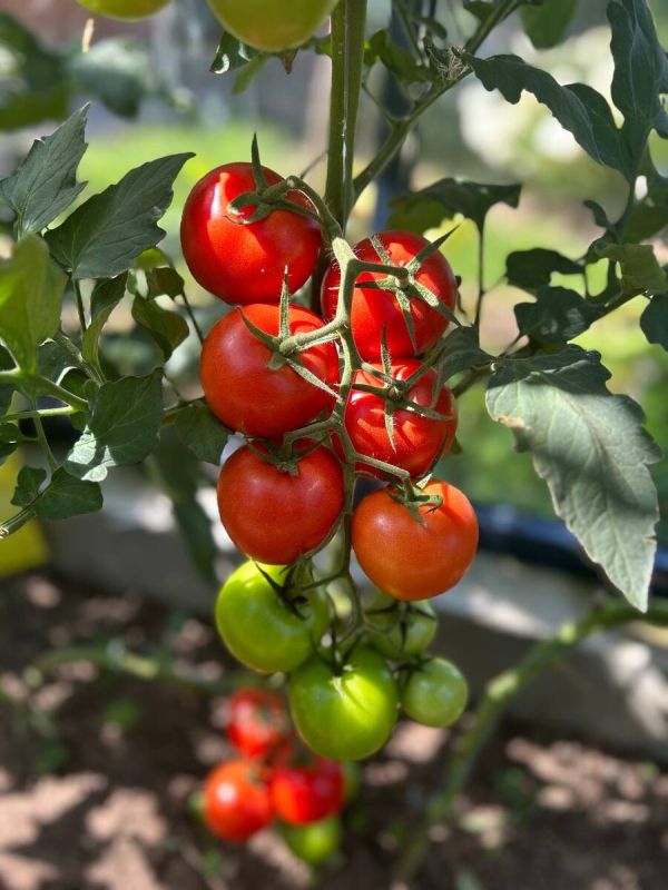 ����� � �������: ���������� ����� � ���������