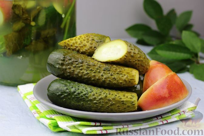 ������ ������� � ��������: �������� � ����