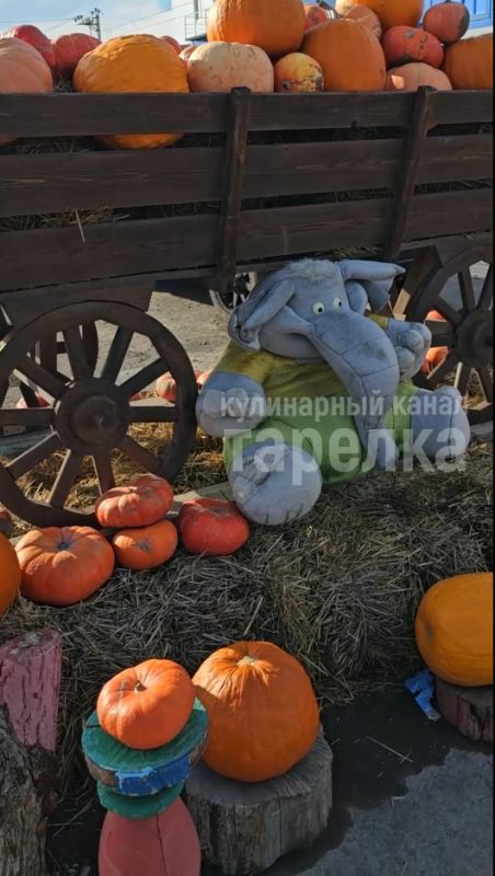 ��� ������������ ���� �������� � ������ � ����������