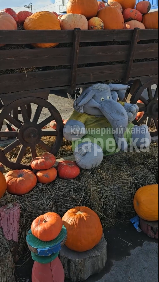 Как свежевыжатые соки помогают в борьбе с простудами