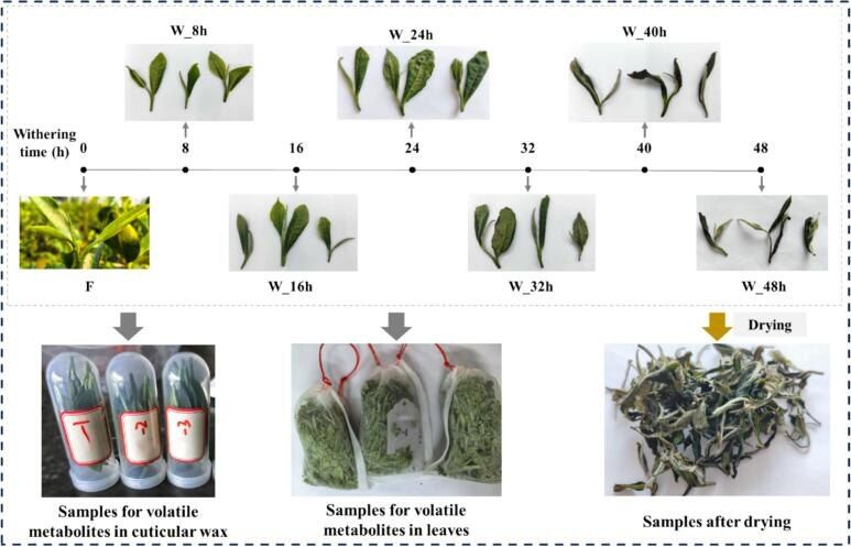 ������� ������� �� ���� ������ ���