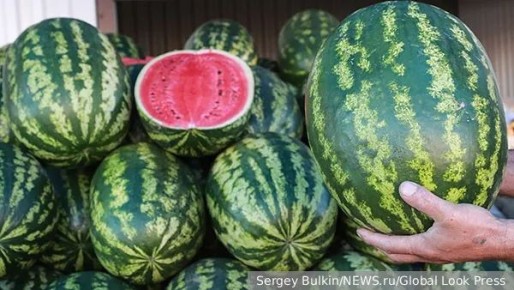 Разоблачение мифа о сладости арбузов: как выбрать лучший плод