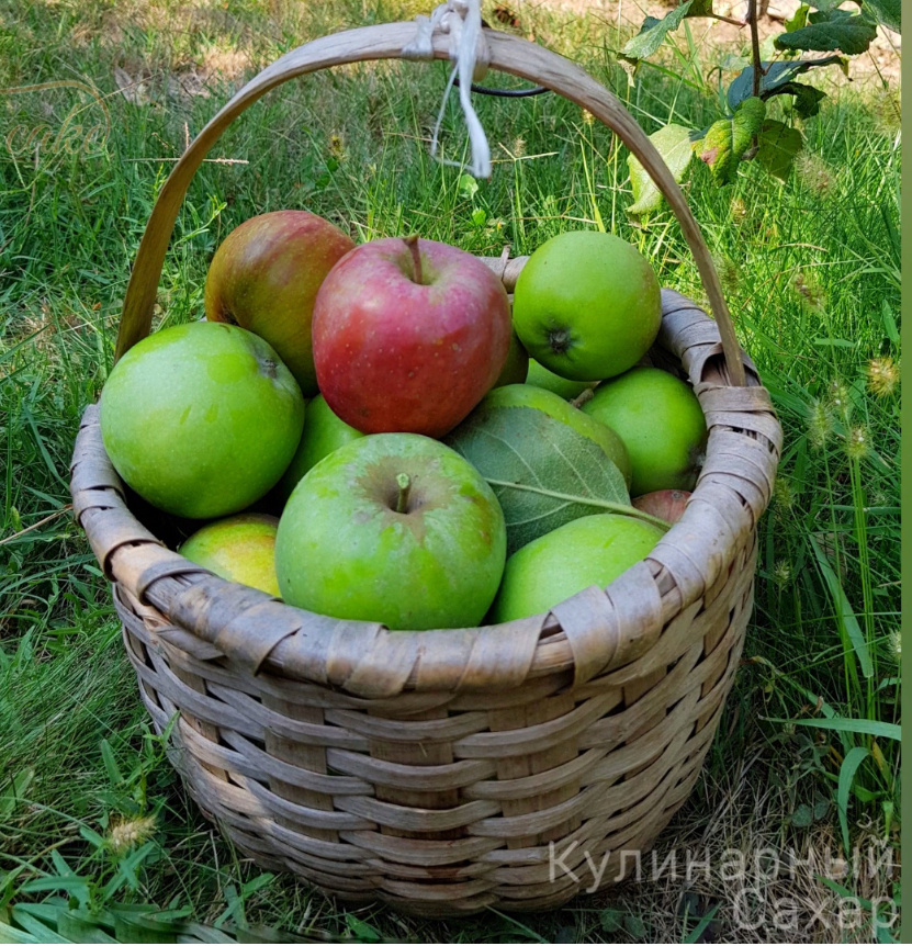 Сезон яблок: как порадовать себя простыми и вкусными рецептами