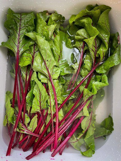 ������� �����: ��� ����� ����� ����� ����� ��������������� ����������