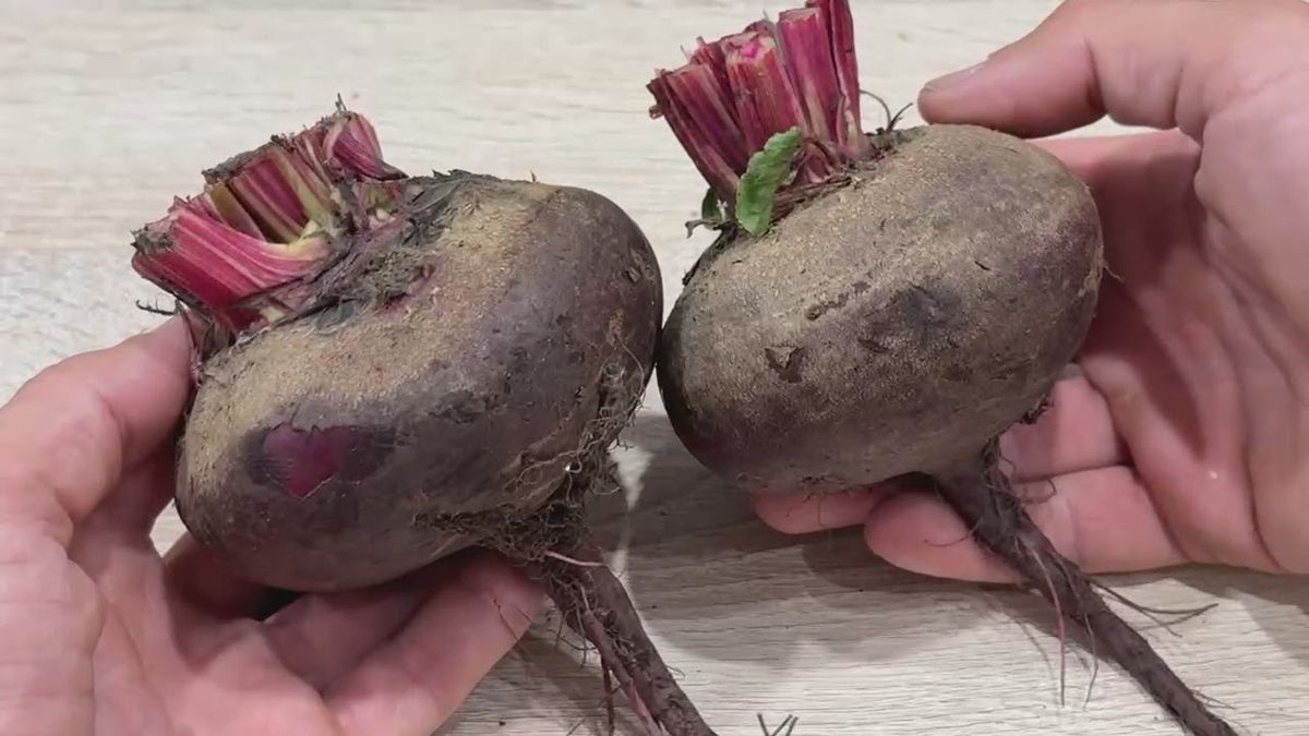 ��� ������ �������� ��������� ������� ��� �� ������ ����