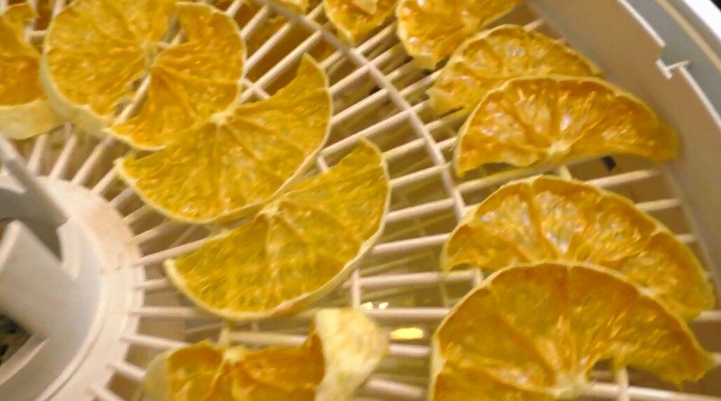 Простые шаги к идеальной сушке апельсинов в электросушилке