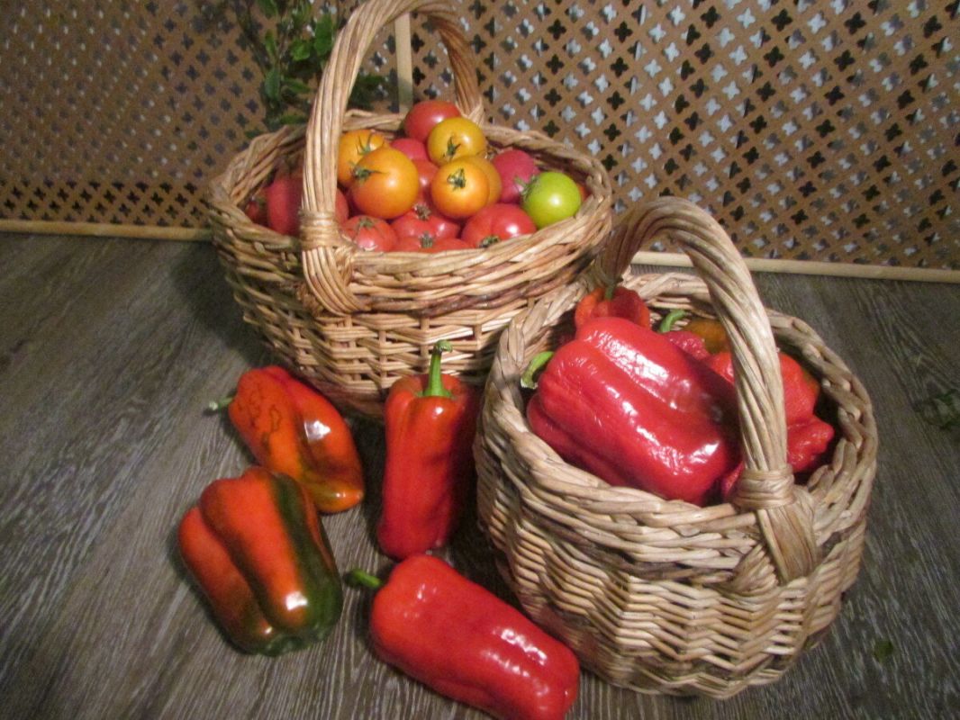 Как быстро сделать томатный сок на зиму: секреты для занятых хозяек