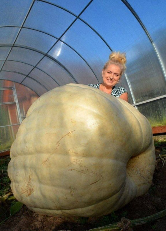 Приключения на воде: невесомая тыква покоряет реки