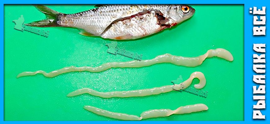 ��������� ����: ������ �� ��� � ����� �� � ����?