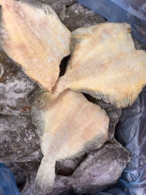 ���� �� ������������ �������: ���� ������� � �����