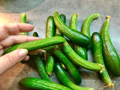 ����-������: ��������� ������ ��� ��������� �������