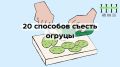 Как включить огурцы в повседневное меню: 20 свежих идей