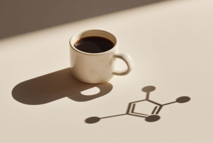 ������: ����������� ��� ��������? ����������� �� ������� ������