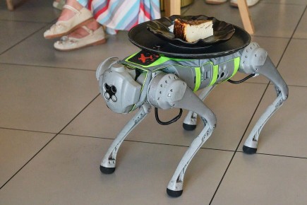 ������ � ������� � ������ ������: ��� �������� ������� Kontrabatista