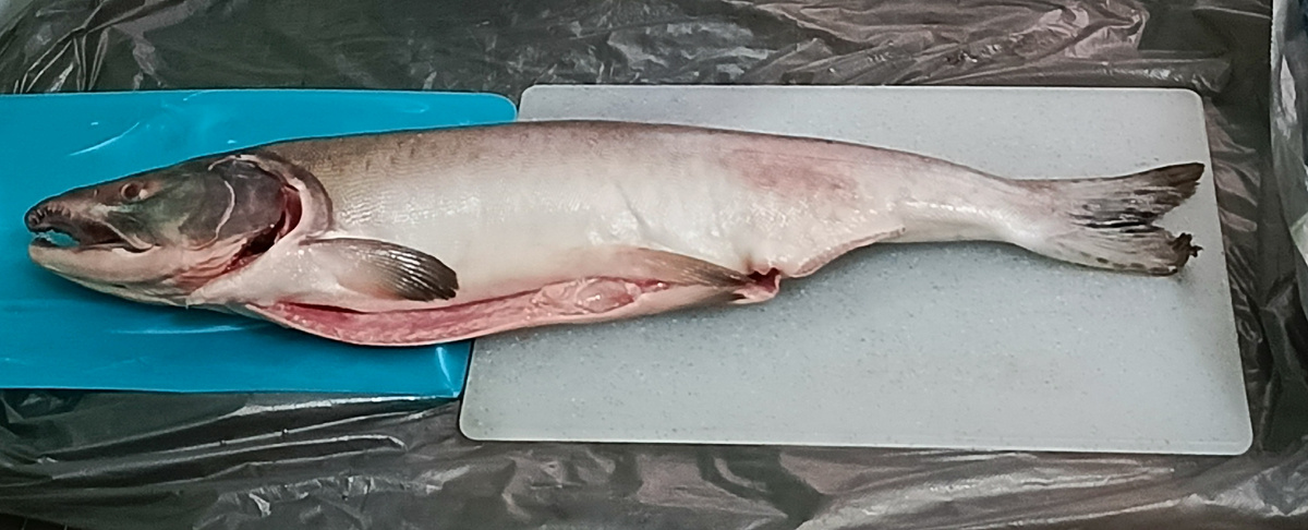 Вкусные хлопоты на кухне: от бульона до грибного соуса