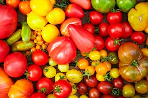 ������: �� ����� ������ �� ���������� ������