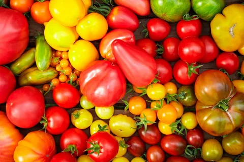 Томаты: от диких плодов до кулинарной звезды