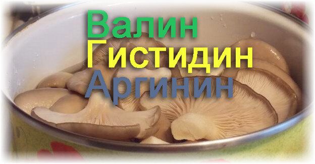 ��� ��������� ������ �������: ������ � �������� �����