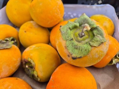 Оренбургская область предотвратила ввоз заражённой хурмы из Узбекистана