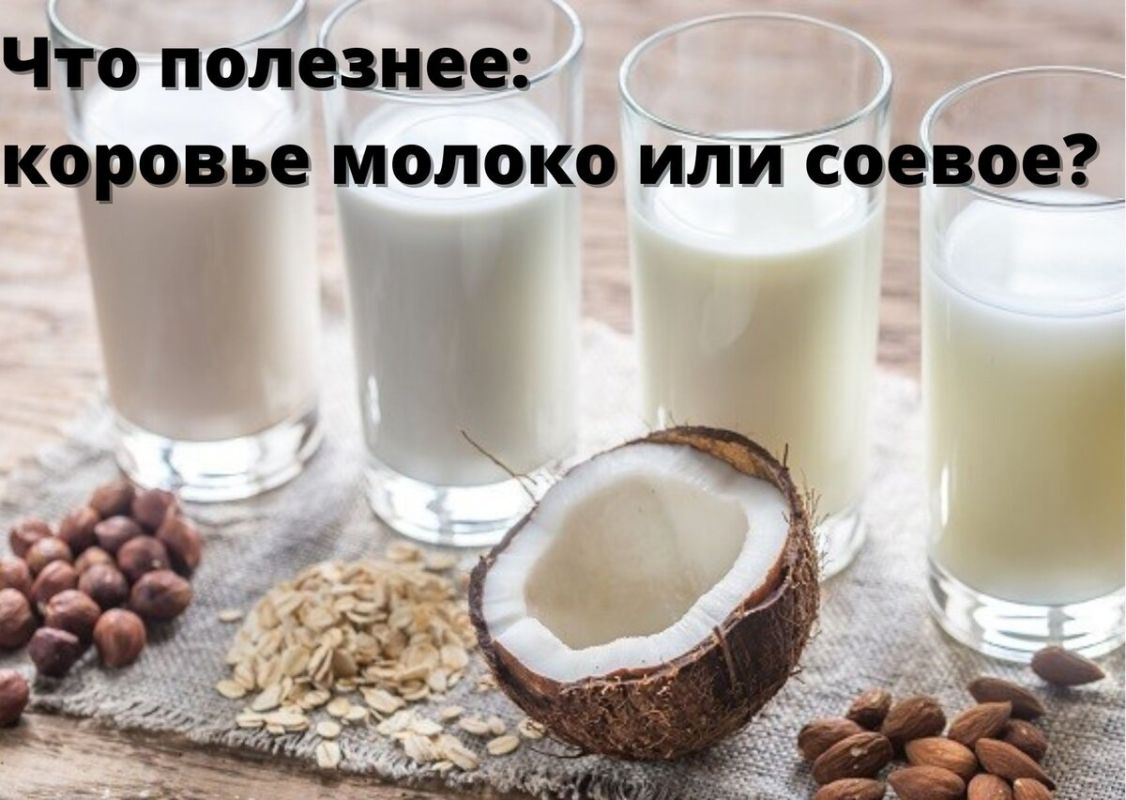 Коровье или соевое молоко: что выбрать для здоровья?