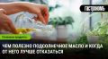 Подсолнечное масло: здоровье на вашей кухне или причина риска?
