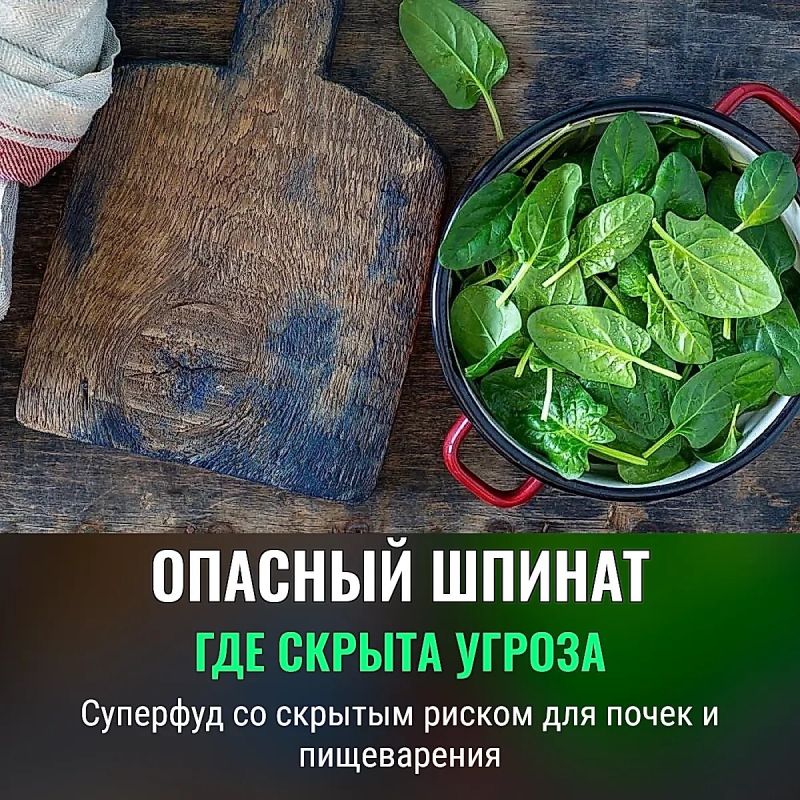 Шпинат: полезный, но с осторожностью — советы гастроэнтеролога