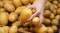 Полезные блюда из картофеля: советы диетолога